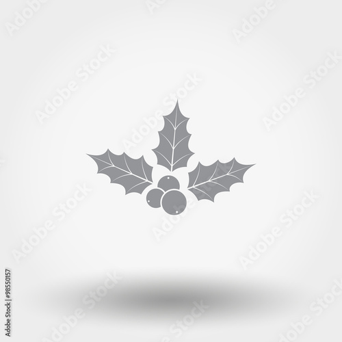 Holly berry. Christmas symbol.