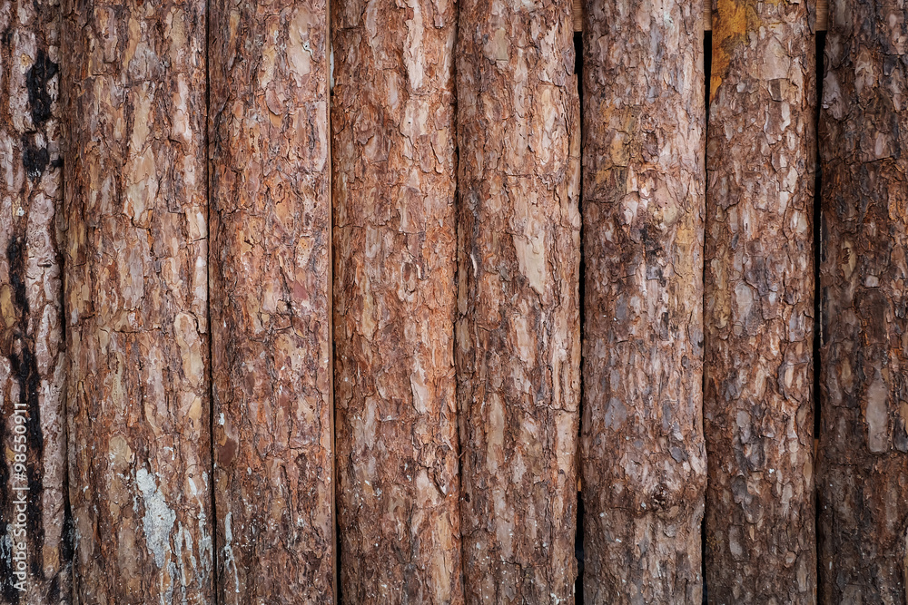 wooden wall made from wood logs with bark texture wooden wall made from wood logs with bark texture