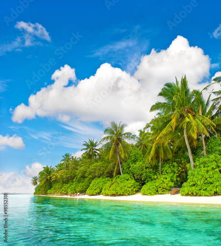Tropical island beach. Palm trees. Blue water sky