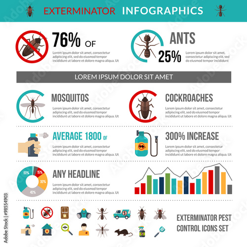 Exterminator Pest Control Infographics Layout Banner