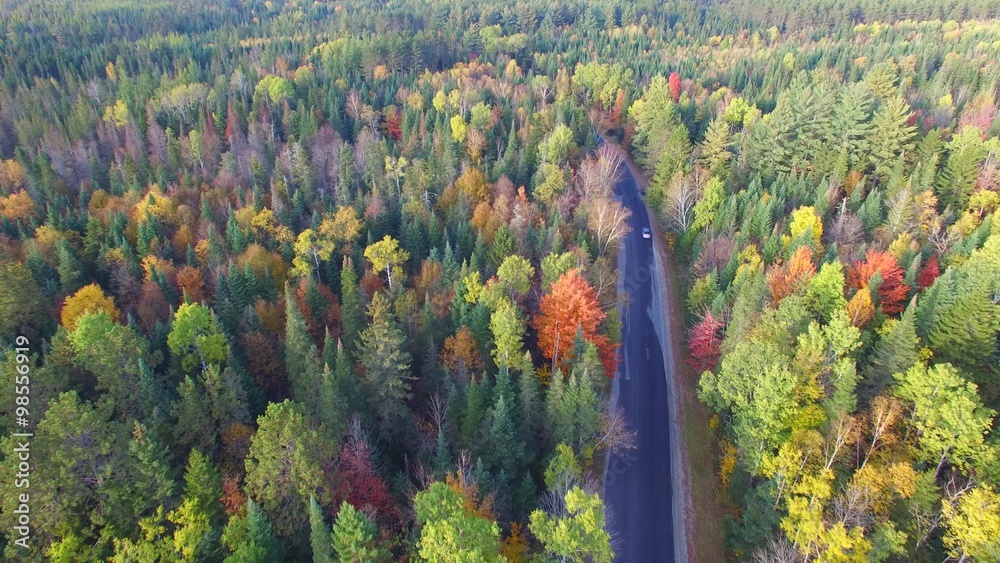New England. Beautiful aerial view of fall foliage