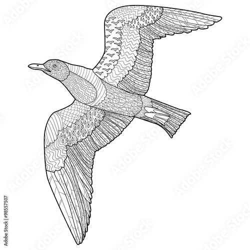 Antistress coloring page with seagull.