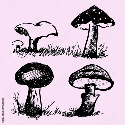 set of mushrooms, edible and inedible, doodle style, sketch illustration