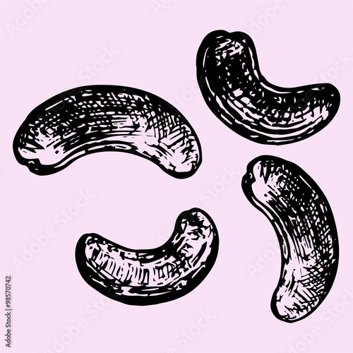 Cashew nuts, doodle style, sketch illustration, hand drawn, vector