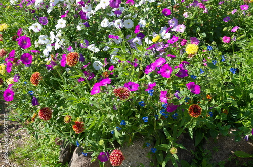 Flower bed