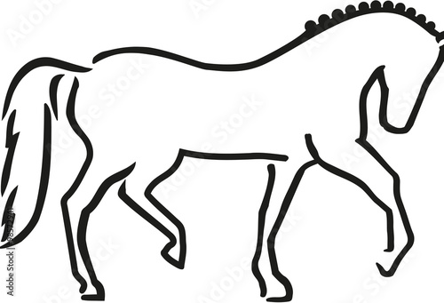 Dressage horse sketch style