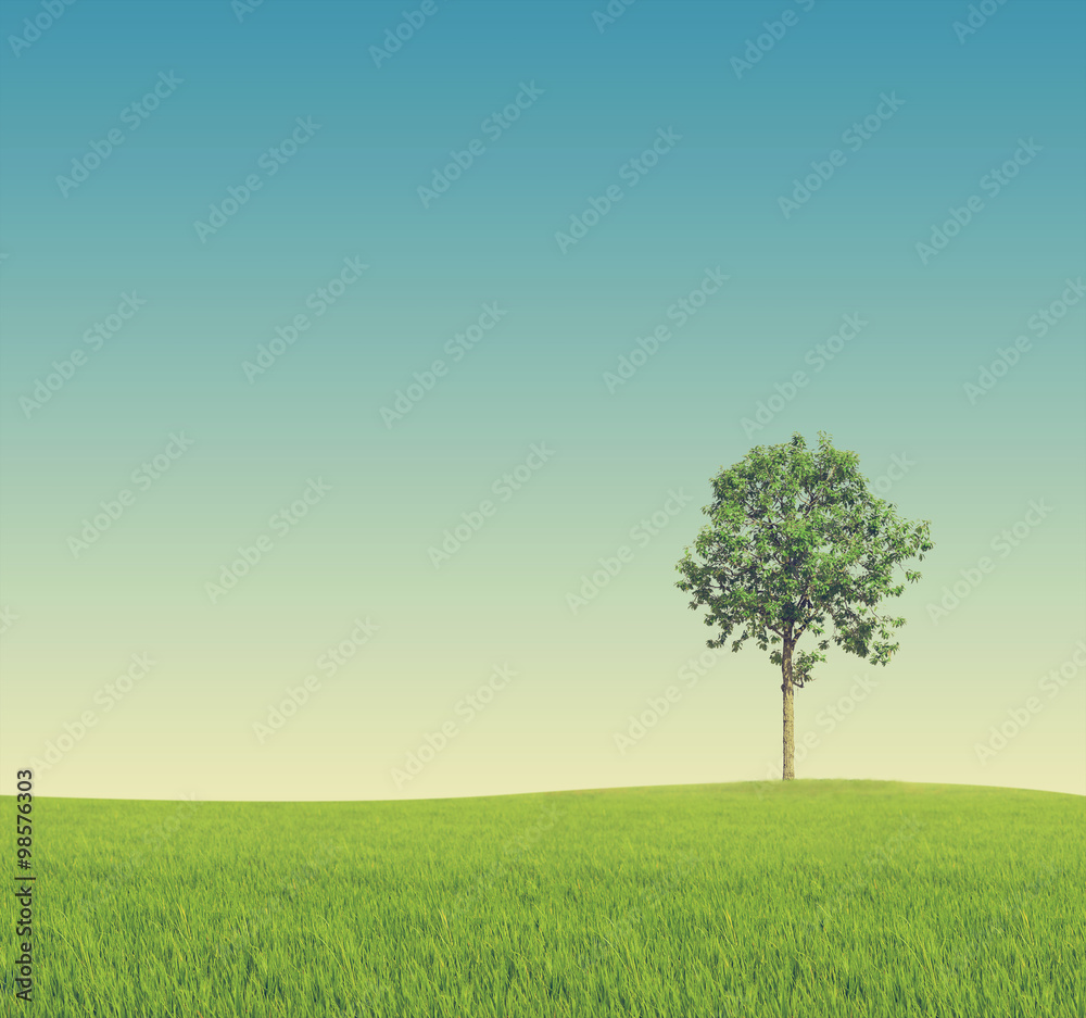 Obraz premium tree on Green field - vintage effect style pictures