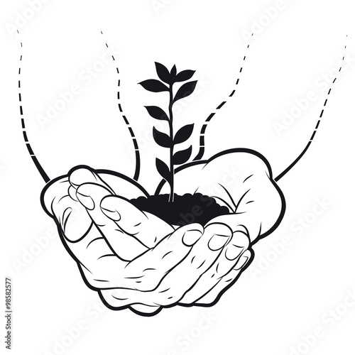 Wachstum in gebenden Händen