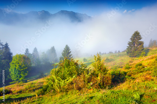 Misty summer morning in the Triglav national park
