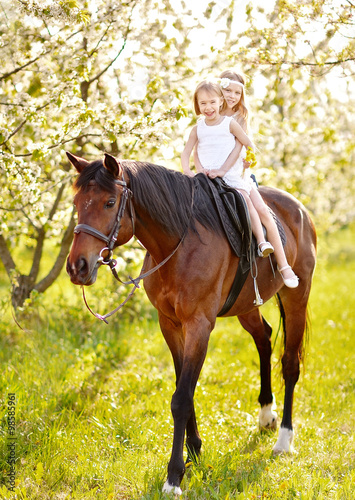 portrait of two girls of girlfriends on a summer nature © zagorodnaya