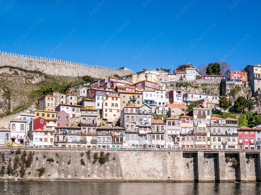 The Douro River Houses