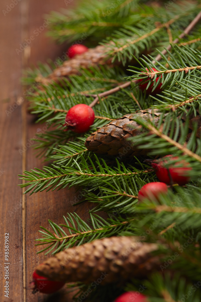 Christmas tree branch, hawthorn, pine cones