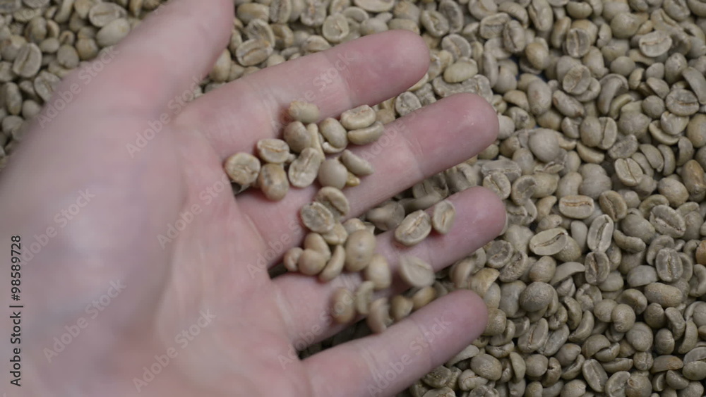 Hand Pouring raw coffee into more green beans 2 Hand Pouring raw coffee into more green beans 2