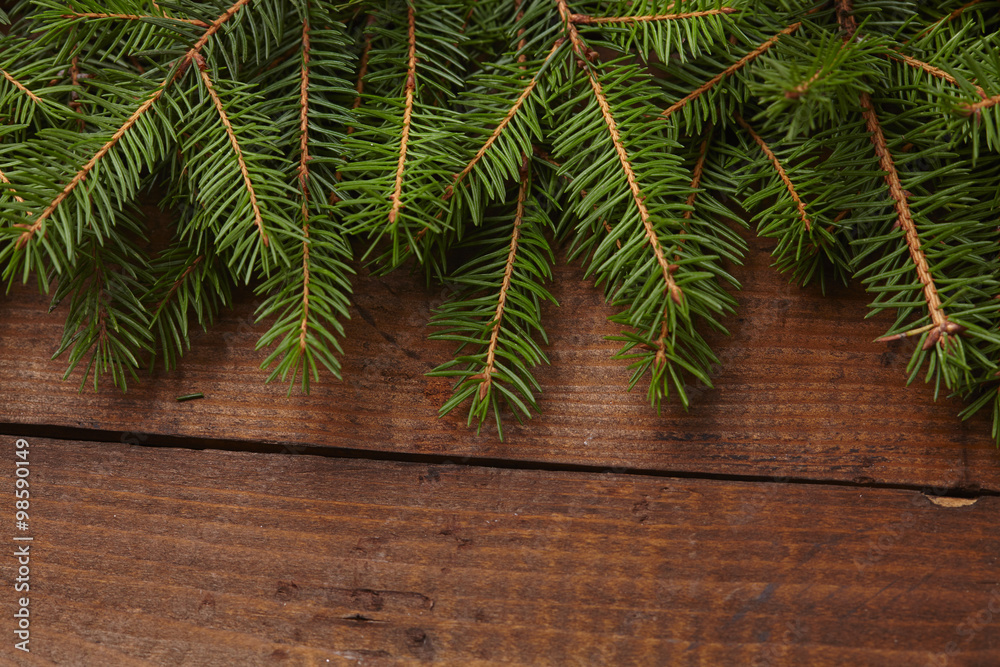 Naklejka premium Christmas tree branch, pine cones