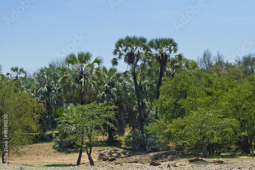 Afrika Namibia Ruacana