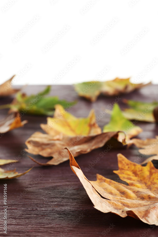 Autumn maple leaves on a wooden table isolated on white Autumn maple leaves on a wooden table isolated on white