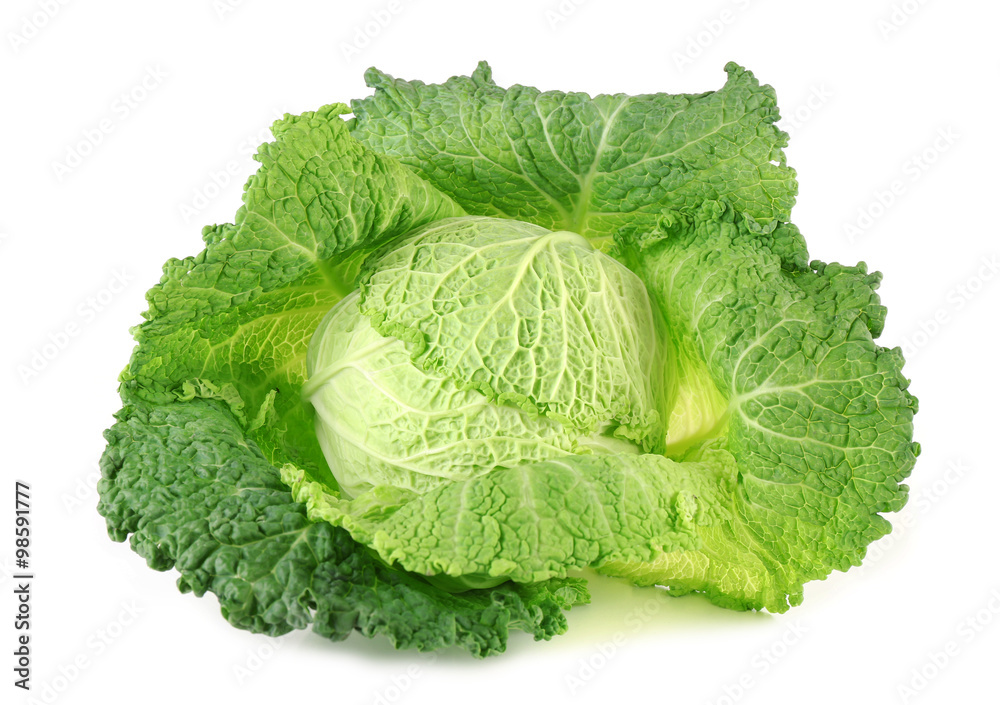 Obraz premium Savoy cabbage isolated on white background