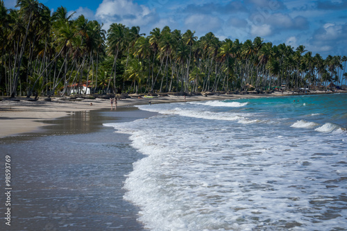 Beach of Carneiros, Tamandar?-Pernambuco