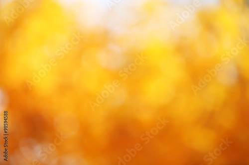 Blurred golden autumn leaves, close up