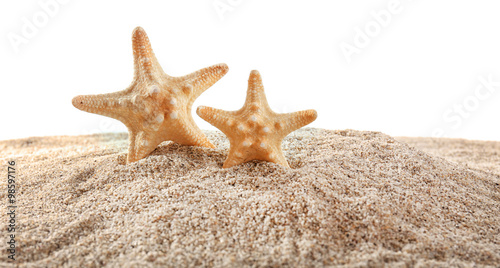 Sea stars and shells on sand isolated on white background