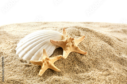 Sea stars and shell on sand isolated on white background