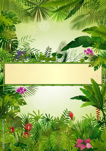 Fototapeta Naklejka Na Ścianę i Meble -  Tropical background with rectangle floral frame in concept bamboo