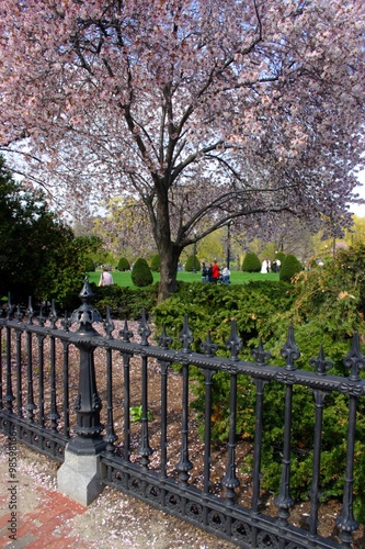 Boston Common and Public Garden, USA..