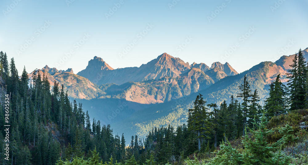 Fototapeta premium some scene from Artist point hiking area,scenic view in Mt Baker,Washington,USA. 