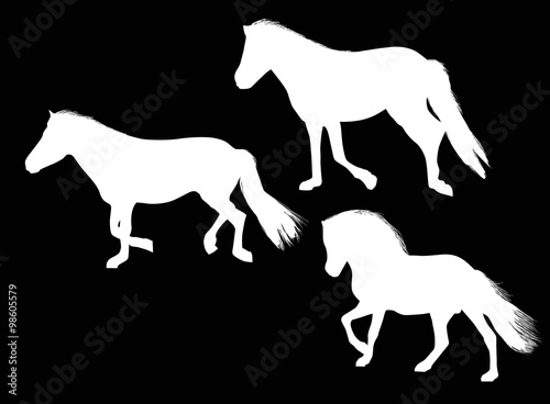 three white running horses on black
