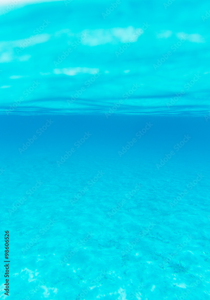 Obraz premium Tranquil underwater scene with copy space