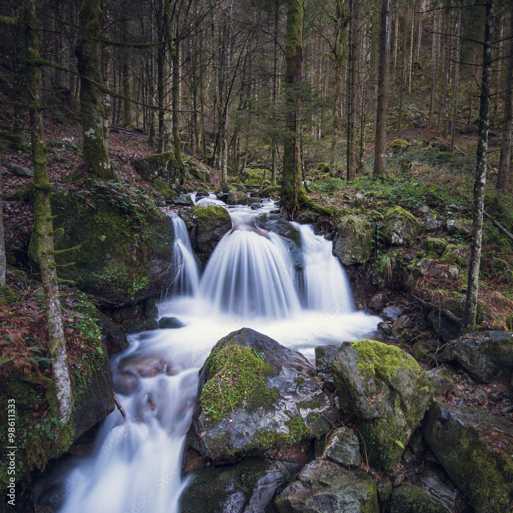 Obraz premium small waterfall in Black Forest, Germany