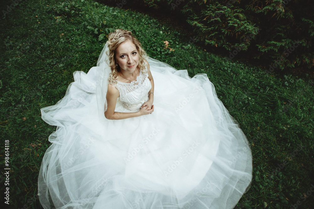 gorgeous stylish elegant happy bride siting in amazing dress in gorgeous stylish elegant happy bride siting in amazing dress in