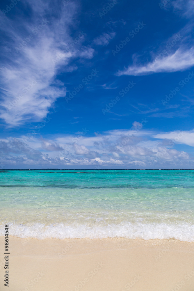 Fototapeta premium ein wunderschöner Strand auf einer Malediveninsel
