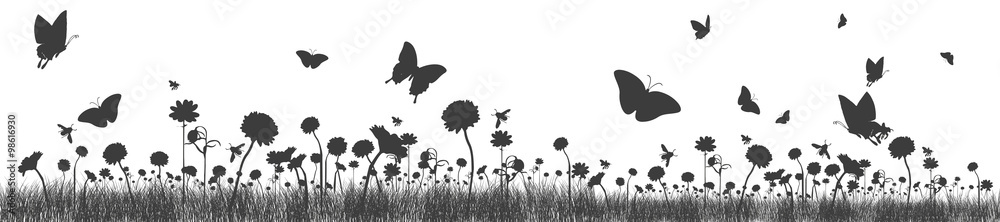 Blumenwiese mit Bienen und Schmetterlingen | Banner
