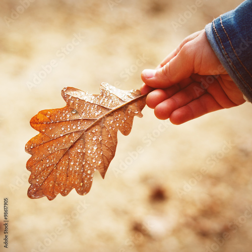 Feuille d'automne dans la main d'une jeune fille