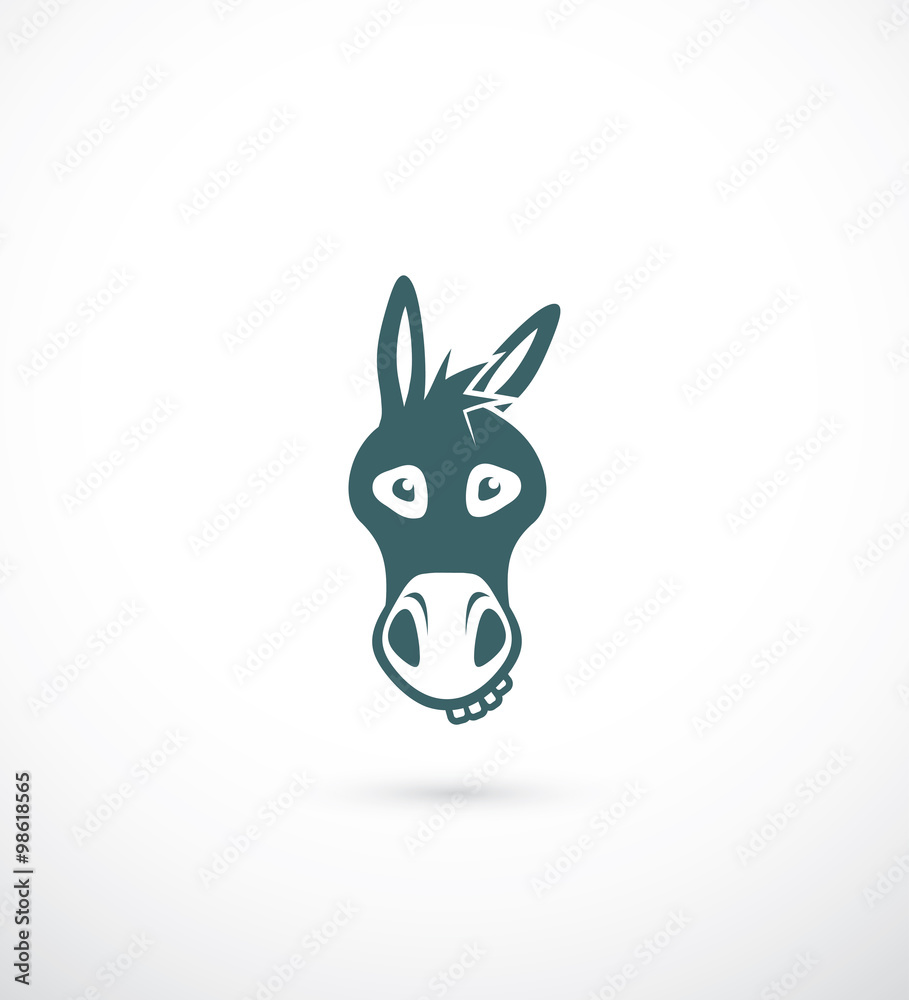 Donkey head Donkey head