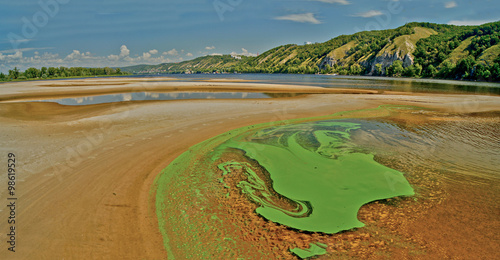 Green algae on the surface of the river.