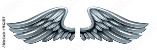 Silver Steel Metal Wings