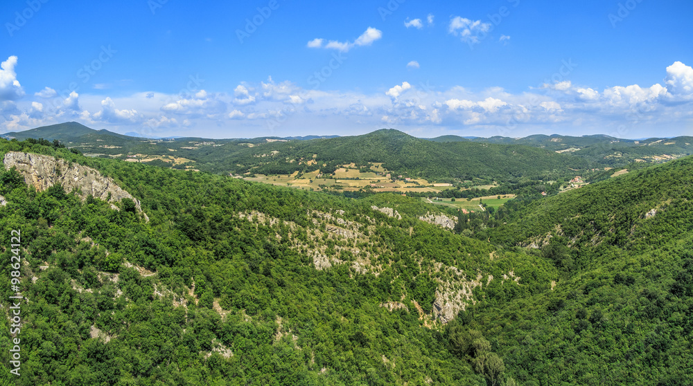 Panorama of green rocky canyon 