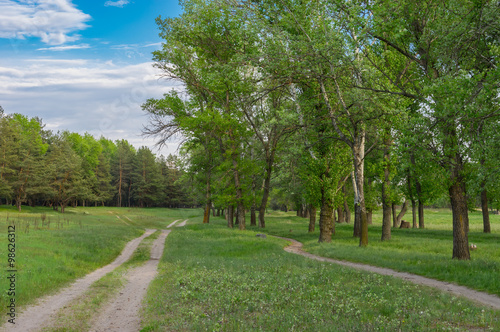 Fototapeta Naklejka Na Ścianę i Meble -  Spring landscape with earth road and path in central Ukraine