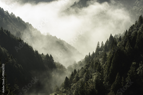 High mountain in mist and cloud © Fan Ying Hua