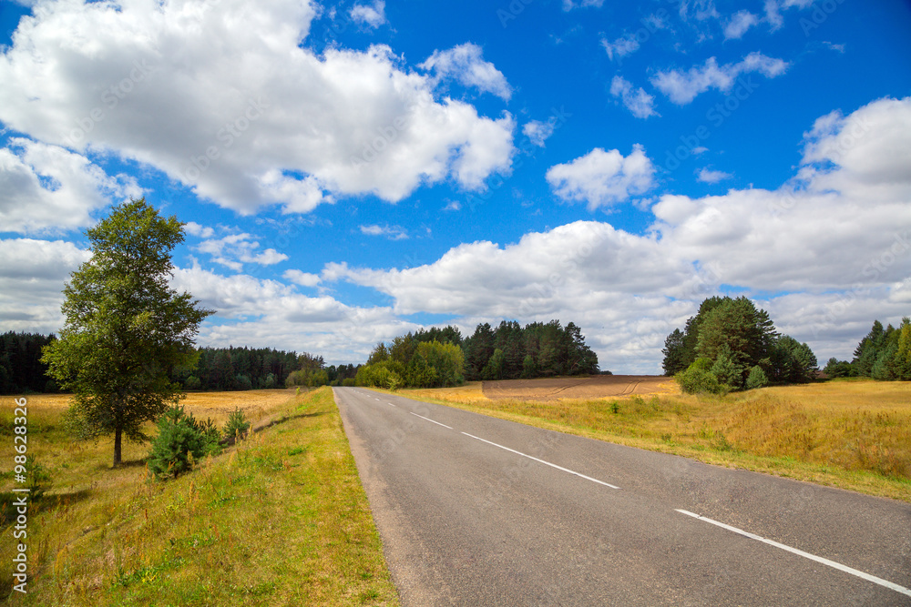 asphalted road. landscape with trees