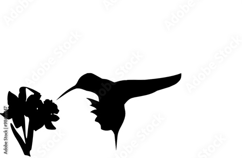 humbird