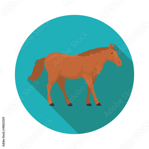 flat  icons horse