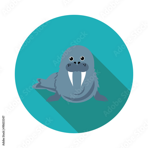 flat  icons walrus