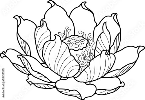 Black silhouette outline lotus. Vector tattoo illustration