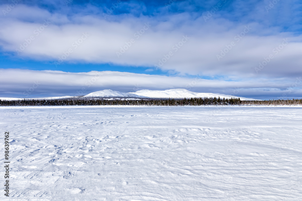 Panorama swamp covered with snow on winter mountain background