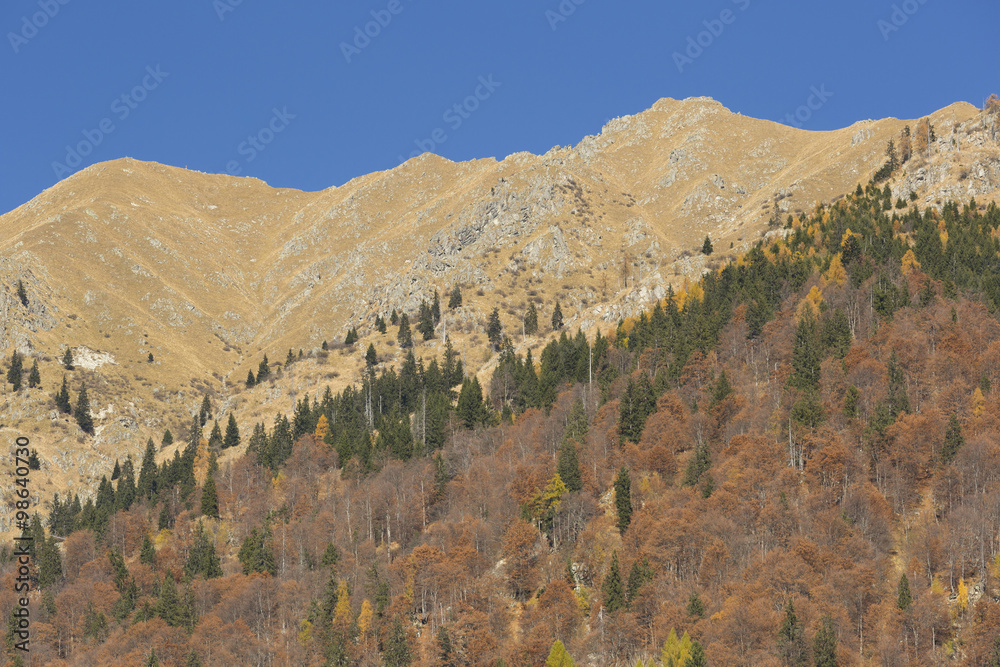 Fototapeta premium Alpine wilderness in autumn