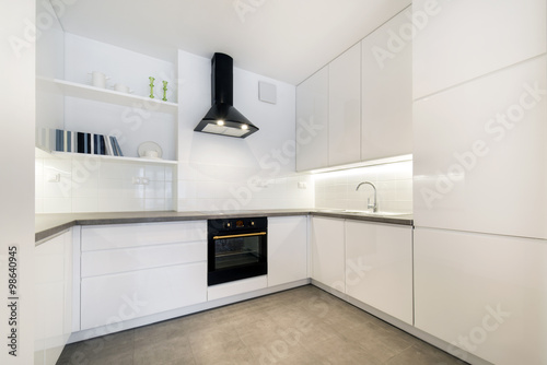 Stylish white kitchen in small apartment