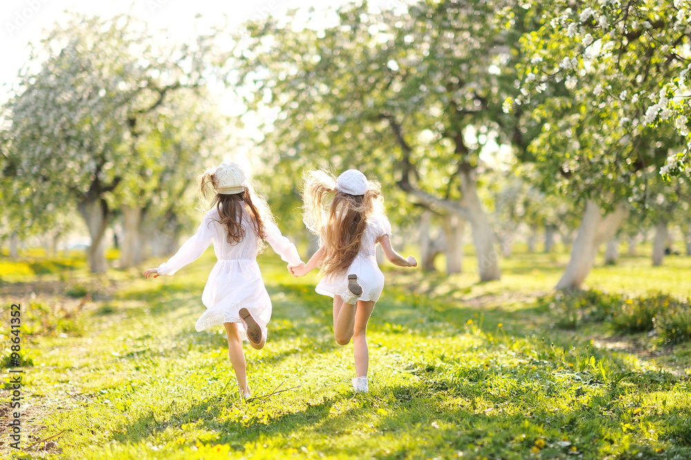 portrait of two girls of girlfriends on a summer nature portrait of two girls of girlfriends on a summer nature